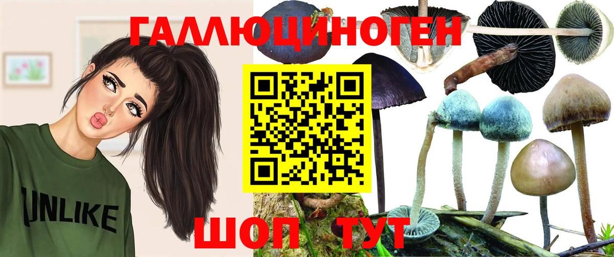 Нерюнгри  Псилоцибиновые грибы Psilocybine cubensis  Вход с VPN 