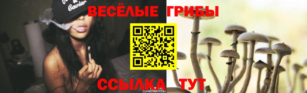 Псилоцибиновые грибы мухоморы Нерюнгри